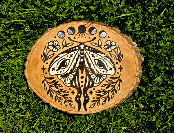 Hand Burned Moth