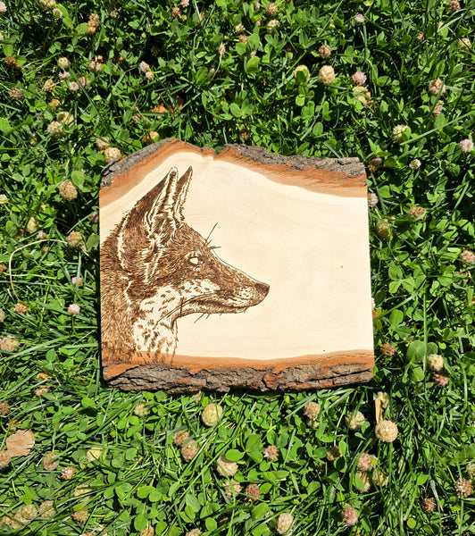 Hand Burned Fox